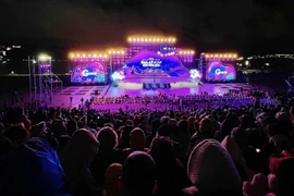 Lâm Đồng: Rực rỡ sắc màu đêm khai mạc Festival Hoa Đà Lạt 2022