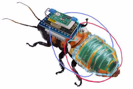 Nhật Bản: Phát minh robot gián hỗ trợ tìm kiếm người mất tích