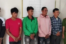 Đắk Lắk: Khởi tố nhóm thanh niên cưa trộm gỗ trong khu bảo tồn