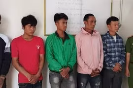 Đắk Lắk: Khởi tố nhóm thanh niên cưa trộm gỗ trong khu bảo tồn