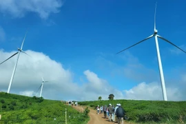 Lâm Đồng: Thêm 2 nhà máy điện gió với vốn đầu tư gần 4.400 tỷ đồng