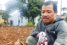 “Thú lạ” khiến cư dân khiếp đảm là hổ, báo?