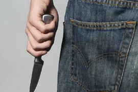 Em ruột đâm chết anh trai rồi bỏ trốn