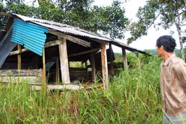 Kỳ bí những kho báu thất lạc trong rừng sâu (2) 