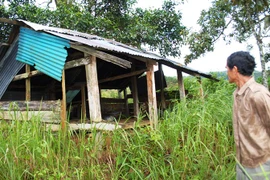 Kỳ bí những kho báu thất lạc trong rừng sâu (2) 