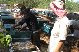 Cướp tài sản rồi trả lại khổ chủ thì bị bắt