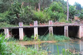 Bí ẩn ao Bảo Đại trong lòng Đà Lạt 