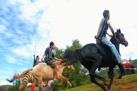 Tận mục đua ngựa kỳ thú trên thảo nguyên Langbiang