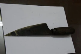 Anh ruột đâm chết em vì không cho bán đất