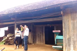 Bán cột nhà, cọc rào… cho thương lái Trung Quốc