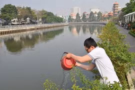 Háo hức thả cá chép ra sông