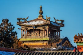 Bí mật Tử Cấm Thành: Vì sao Vũ Hoa Các đóng cửa với hậu thế?