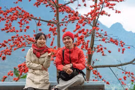 Hoa gạo Hà Giang hút du khách dịp tháng 3
