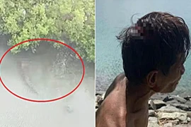 Đưa con trai đi câu cá, bố kinh hoàng khi bị cá sấu cướp con 