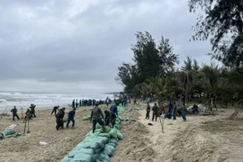 Hàng trăm bộ đội, người dân gia cố khẩn cấp bờ biển Mỹ Khê