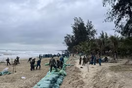 Hàng trăm bộ đội, người dân gia cố khẩn cấp bờ biển Mỹ Khê