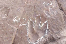 Phát hiện dấu chân khủng long siêu rõ, chuyên gia lý giải sao? 