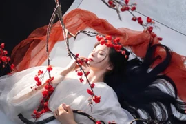 Giải mã lý do Chu Đệ cướp ngôi xong giết sạch cung nữ