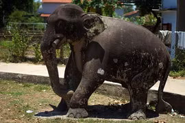 Loạt hình tượng động vật “Sách Đỏ” trên cổ vật Việt Nam