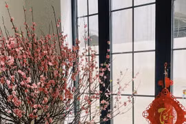 Sắc hoa rực rỡ trong biệt thự sang trọng của Diễm My