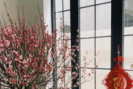 Sắc hoa rực rỡ trong biệt thự sang trọng của Diễm My