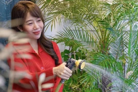Xuýt xoa "vườn hoa thu nhỏ" trong nhà BTV Diệp Chi