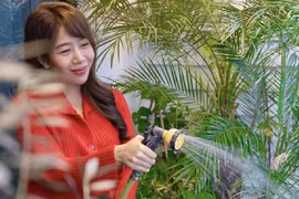 Xuýt xoa "vườn hoa thu nhỏ" trong nhà BTV Diệp Chi