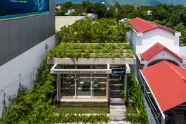 Độc đáo văn phòng mọc giữa rừng cây tại Khánh Hòa 