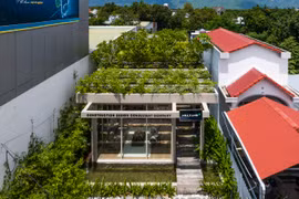 Độc đáo văn phòng mọc giữa rừng cây tại Khánh Hòa 