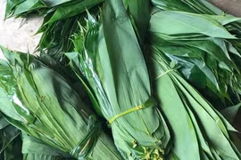 3 loại lá bỏ đi không ai lấy, nay thành hàng xuất khẩu triệu đô 