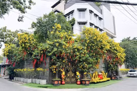 Biệt thự 60 tỷ xa hoa, lộng lẫy của Đàm Vĩnh Hưng 