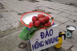 3 loại quả xưa không ai biết giờ thành "đặc sản" nhiều người thích mê