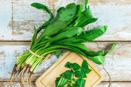 Bác sĩ chỉ cách dùng rau mùi tàu chữa nhiều bệnh 