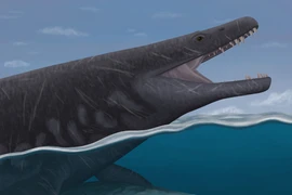 Lộ diện "quái vật" dài 8m, có bộ răng sắc nhọn như dao găm