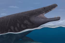 Lộ diện "quái vật" dài 8m, có bộ răng sắc nhọn như dao găm