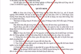 Doanh nghiệp giả mạo quyết định của Chủ tịch tỉnh Gia Lai: Xử lý thế nào?