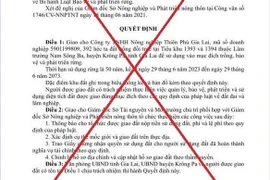 Doanh nghiệp giả mạo quyết định của Chủ tịch tỉnh Gia Lai: Xử lý thế nào?