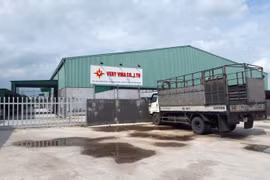 Xả nước thải gây ô nhiễm, Công ty Very Vina bị phạt 225 triệu