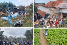 Bộ Quốc phòng thông tin chính thức vụ máy bay quân sự rơi ở Quảng Nam