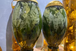 Loại lá khô đắt đỏ bậc nhất Việt Nam, giá lên tới cả trăm triệu/kg