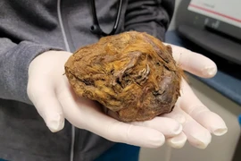 Bí ẩn xác ướp "quái thú" 30.000 năm không tan rã