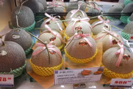 Độc lạ loại dưa lưới đặc biệt, có giá ngang chiếc ô tô 