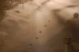 Top sự kiện bí ẩn đến rùng mình, không tài nào lý giải 