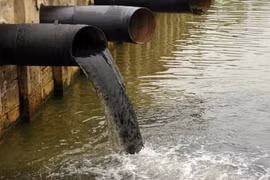 Xả nước thải vượt quy chuẩn, Công ty Mai Hải Minh bị phạt 260 triệu đồng