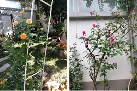 Hai cơ ngơi đồ sộ của vợ chồng NSND Hồng Vân 