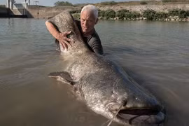  Đi câu cá, bất ngờ đụng trúng "thuỷ quái" nặng 104kg 