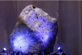 Kinh ngạc thấy khối đá quý nghìn tỷ khi đào giếng trong sân nhà