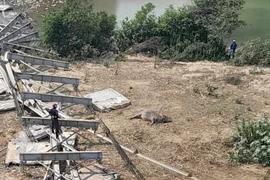 Vụ sập cầu treo Kẻ Nính ở Nghệ An: Thông tin mới nhất