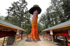 Lão nông phát hiện "báu vật" trăm tỷ trong vườn nhà, chuyên gia ngăn đừng bán