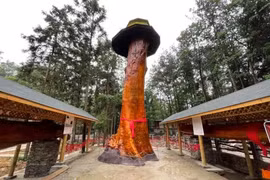 Lão nông phát hiện "báu vật" trăm tỷ trong vườn nhà, chuyên gia ngăn đừng bán